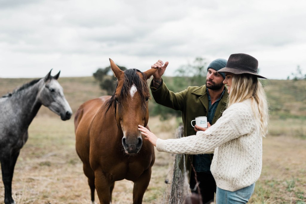 Horses in the bush.